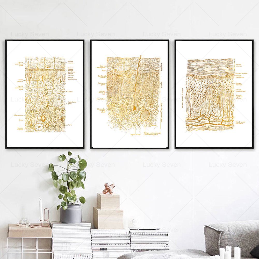 Cura della pelle Anatomia Post - Skincare Ls recensione e prezzo