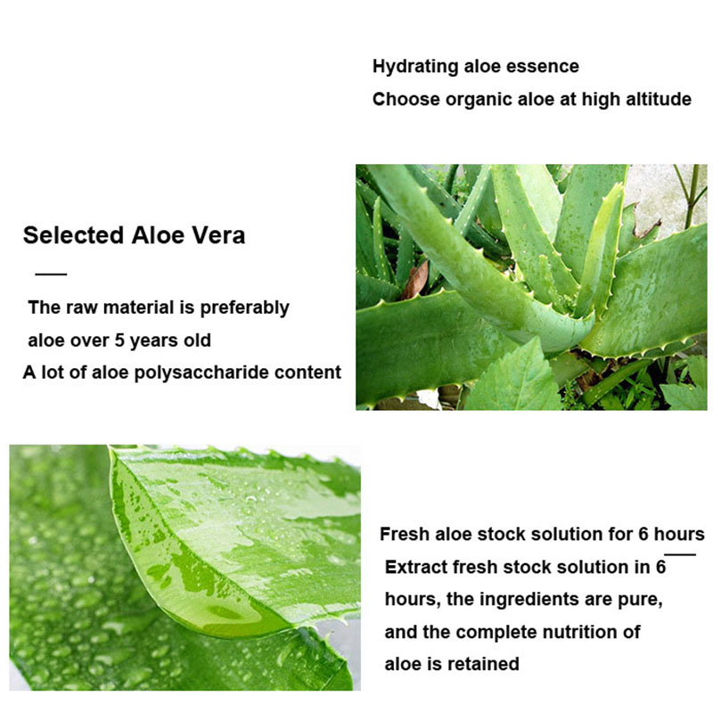 10 pz Aloe Vera colla maschera - Skincare Oily Skin recensione e prezzo